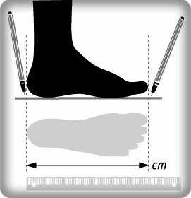 shoe size 25.5 cm